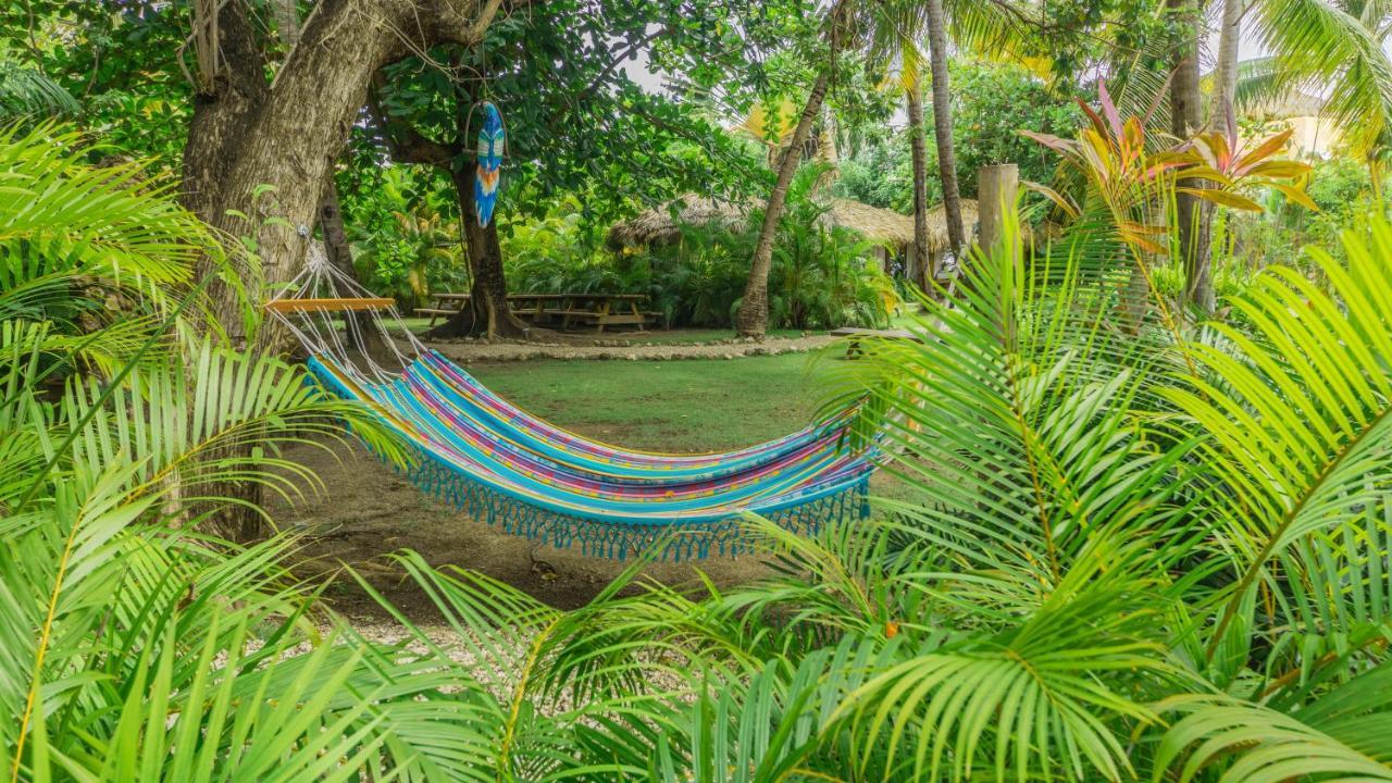 Los Corales Beach Village Punta Cana Extérieur photo